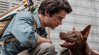 “Amor y monstruos”: lo que debes saber sobre el perro de Dylan O’Brien