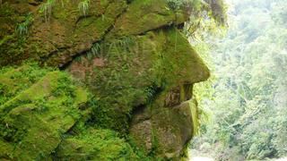 Así es el ‘Rostro Harakbut’ que acaba de ser reconocido como Patrimonio Cultural de la Nación | FOTOS