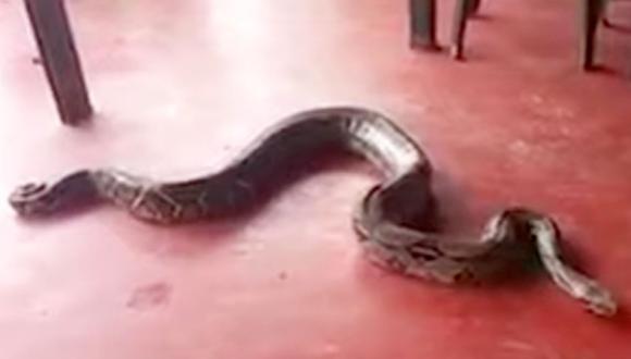 El propietario del negocio, con la ayuda de otra persona, retiraron el reptil en un costal. (Foto: 24 horas / YouTube)