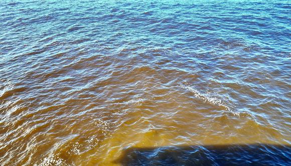 La rema roja fue avistada en varias playas en el litoral peruano. (Foto: IMARPE)