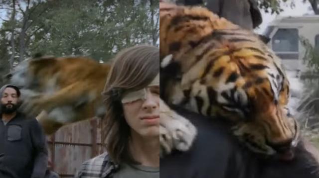 "The Walking Dead": ¿Cómo se filmó el ataque del tigre? - 1