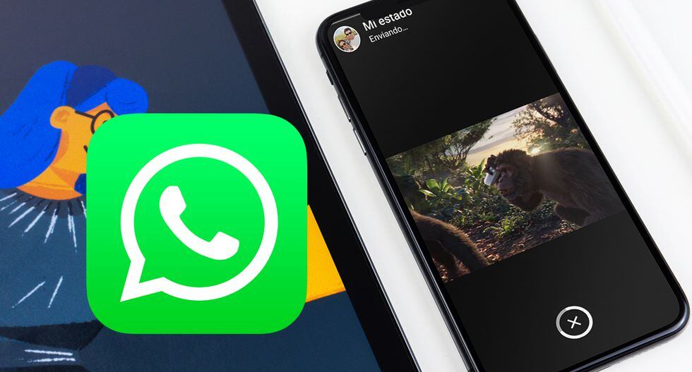 ¿Quieres saber cómo colocar tus videos de YouTube como Estados de WhatsApp? Aprende cómo. (Foto: WhatsApp)