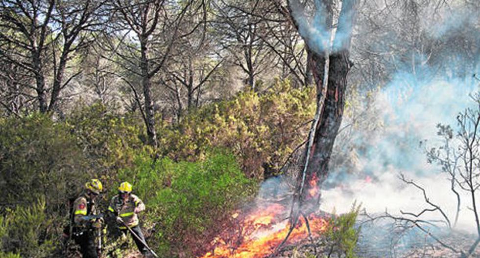Ocho incendios forestales en los Andes de Perú dejan dos personas fallecidas, otras cuatro heridas y alrededor de 11.000 hectáreas de bosques afectadas. (Foto: EFE)