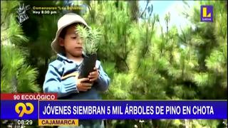 Cajamarca: Jóvenes siembran 5 mil árboles de pino