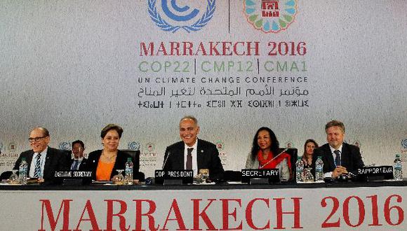 Principales ONG deploran resultado modesto de la COP22