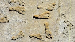Las increíbles huellas que muestran que América se pobló miles de años antes de lo que se pensaba