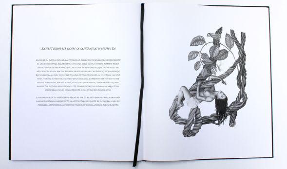 Christian Bendayán y su expedición al reino amazónico - 2