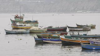 Segunda temporada de pesca de anchoveta inicia mañana con cuota de 2,78 millones de toneladas