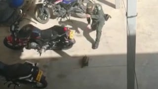 Policía tiene una ‘pelea’ con una tortuga y causa furor en video viral