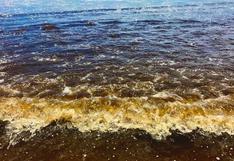 Alertan “marea roja” en playas del sur chico: ¿Qué es este fenómeno y por qué puede ser mortal?