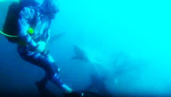 YouTube: Buzo que nadaba entre tiburones se salva de mortal ataque. (Foto: Captura)
