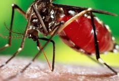 Argentina en alerta: registran casi de 15.000 casos de dengue