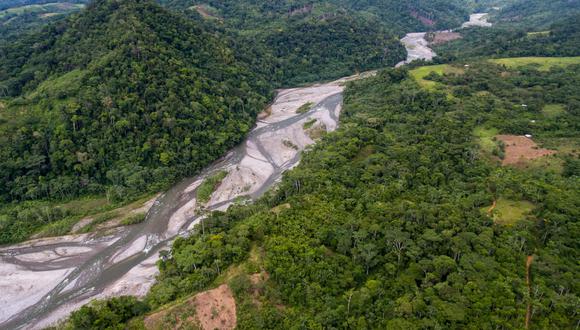 Esta nueva ACR, que es la segunda para San Martín, se extiende a lo largo de 191 000 hectáreas y protegerá una muestra representativa de las yungas y páramos peruanos, además de cabeceras de cuenca. Foto: Otto Alegre / SPDa