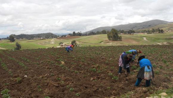 La Comisión de Pueblos Andinos del Congreso de la República aprobó el proyecto que dispone prorrogar 15 años más la moratoria al ingreso de transgénicos al país. (Foto: GEC)