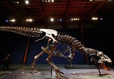 Científicos mexicanos hallan nueva especie de dinosaurio en el norte del país