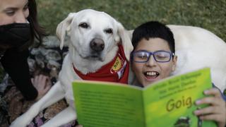 Día del Niño: Terapia equina y canina en Lima como alternativa para los pequeños 