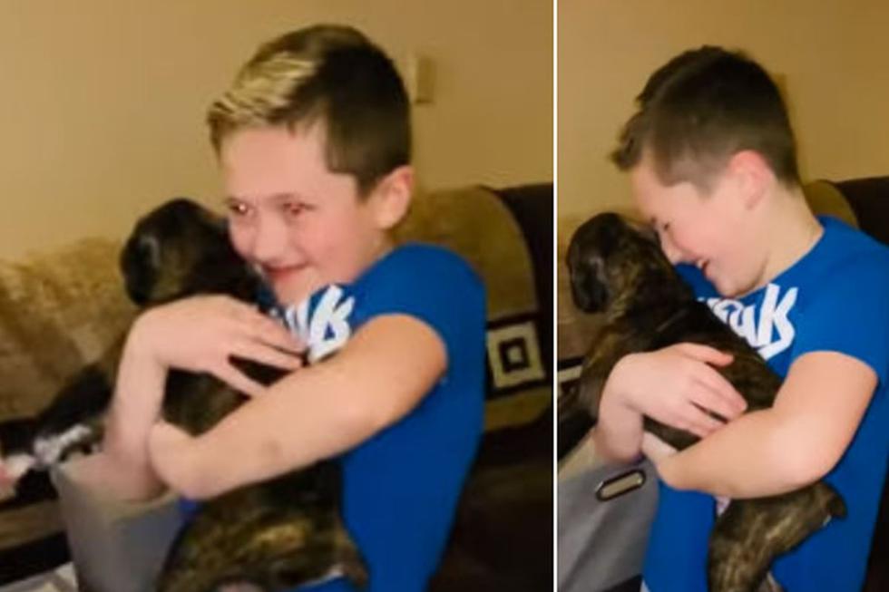 El pequeño no pudo contener la emoción de saber que tenía un nuevo amigo. (YouTube: ViralHog)