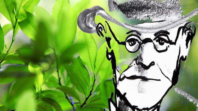 Freud quiso investigar a fondo la planta que tradicionalmente se usaba en Sudamérica. (Foto: Getty Images)