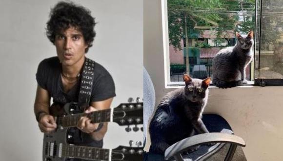Pedro Suárez Vértiz dedica mensaje a sus gatos y dice que son la mascota perfecta en tiempo de cuarentena  (Foto: Instagram)