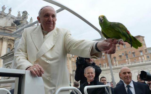 El papa Francisco hace las paces con las aves - 1