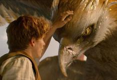 Fantastic Beasts: ¿por qué Newt Scamander es tan tímido?