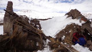 Puno: el saldo que deja hasta el momento la nevada en Carabaya