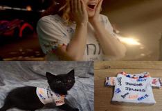 Este gatito recrea los looks de Taylor Swift y causa sensación en internet 