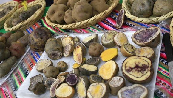 Las papas de colores también presentan una alta demanda. (Foto: GEC)