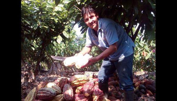 De la coca al cacao: el distrito que cambió su modo de sustento