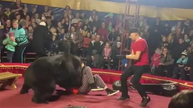 Facebook viral | El aterrador instante en que un oso ataca a su domador en  plena función de circo | Video | Rusia | Animales Salvajes | Fb | VIRALES |  MAG.