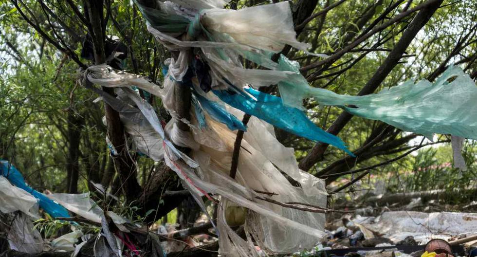 China, uno de los *mayores usuarios de plástico del planeta*, pretende reducir un 30% el uso de productos no biodegradables. (Foto: AFP)
