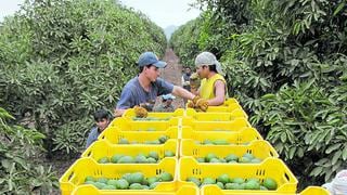 Midagri: agroexportaciones crecieron 8,9% en primer trimestre del 2021