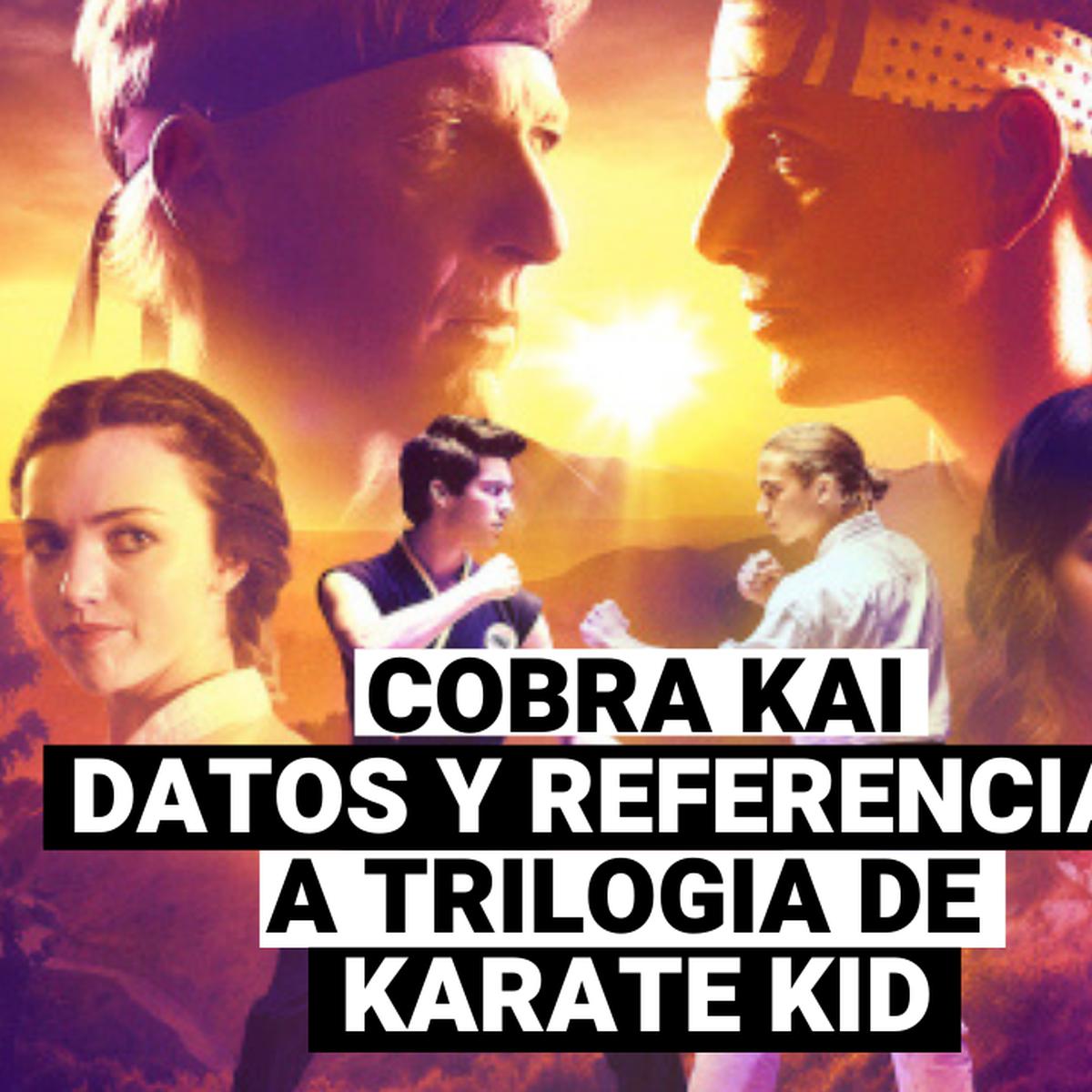 Cobra Kai, temporada 4: esto es lo que diferencia la cuarta parte de otras  entregas según sus creadores, Series de Netflix nnda nnlt, CHEKA