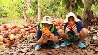 Tarapoto para niños: Ellos también pueden disfrutar de la selva