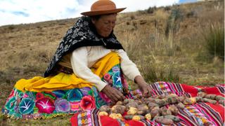 Así lograron exportar dos comunidades campesinas sus cosechas de papas nativas