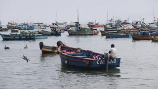 Reabren todos los puertos en el litoral peruano, pero se mantiene alerta por oleajes