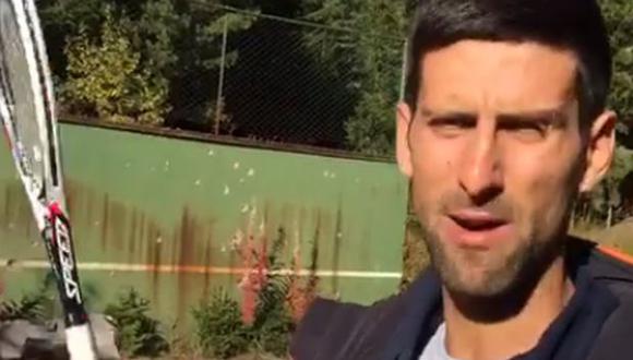 Djokovic enseñó el muro donde se inició como jugador [VIDEO]