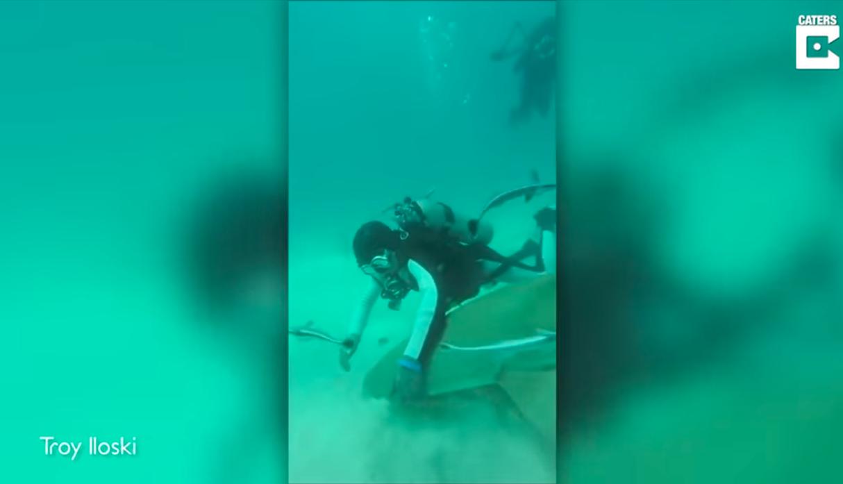 En las redes se ha viralizado un video de un buceador que está ayudando a un tiburón que tiene clavados varios anzuelos. (YouTube | Caters Clips)<br><br>