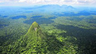 Perú destinará US$140 millones para proteger reservas naturales de la Amazonía