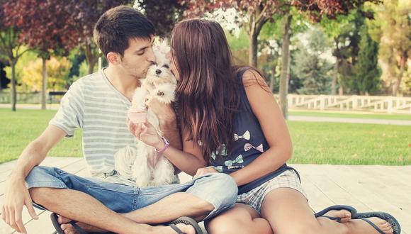 Cinco lecciones de amor que debemos rescatar de nuestro perro