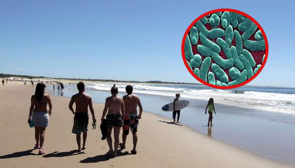 Uruguay: Hombre muere en una playa por una mortal bacteria Vibrio vulnificus en el mar. (AFP)
