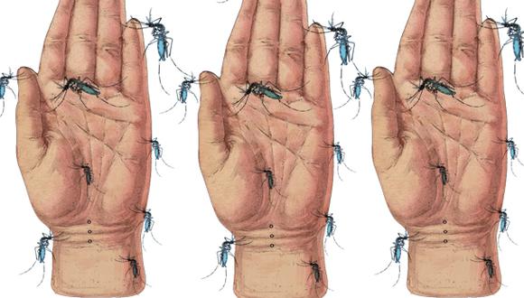 Ilustración dengue