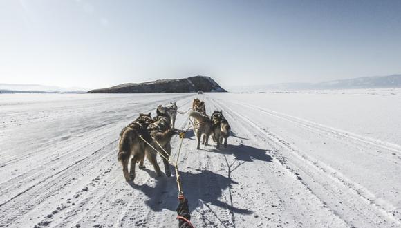 Perros tiran de un trineo en el ártico. (Foto referencial: Shutterstocks)