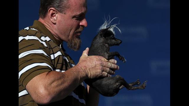 El perro más feo del mundo vive en EE.UU. y se llama SweePee - 10