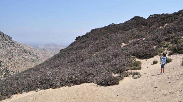 Chiclayo: grave contaminación en las Lomas de Reque [FOTOS] - 5