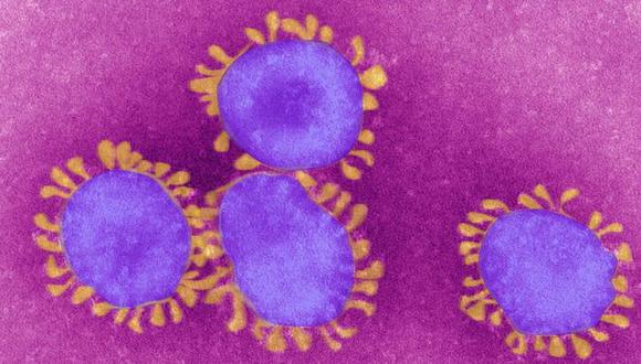El SARS-CoV-2 ha sido catalogado como un virus con potencial endémico por la OMS. (GETTY IMAGES)