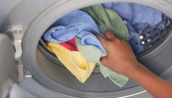 El truco casero de la esponja en la lavadora para eliminar los pelos de  mascota de la ropa