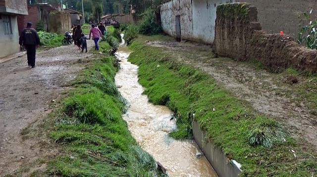 Huancayo: desborde de canal ahogó animales e inundó viviendas  - 4