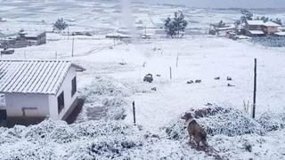 Nevada en Cusco continuará por varios días: los daños que han dejado hasta el momento las bajas temperaturas | FOTOS y VIDEOS