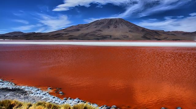 Laguna Colorada: Conoce este hermoso lugar en Bolivia - 1